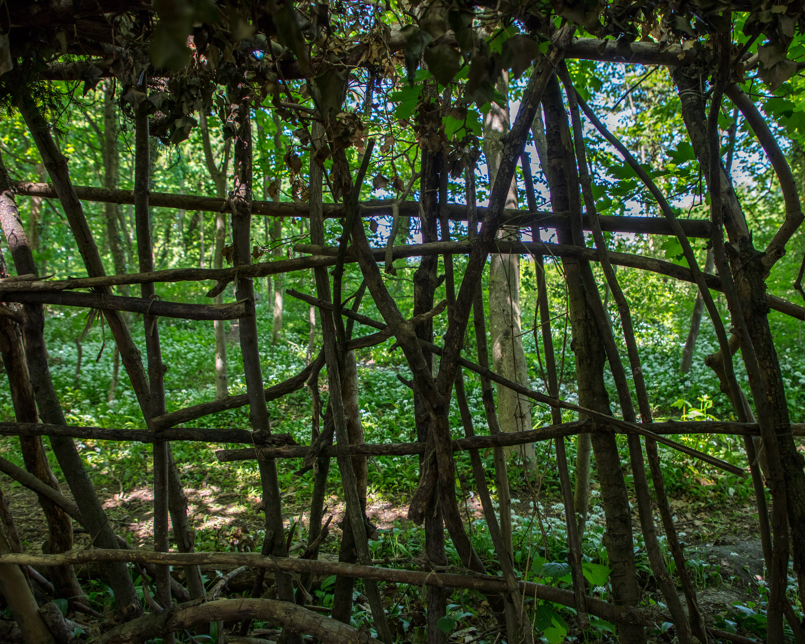 20220508125535 DP017557